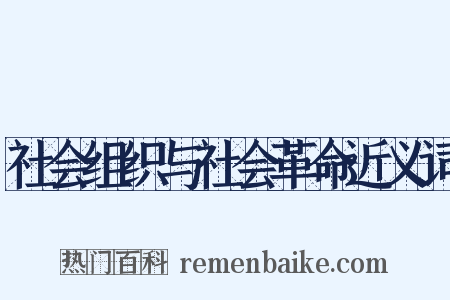社会组织与社会革命近义词是什么意思的图片